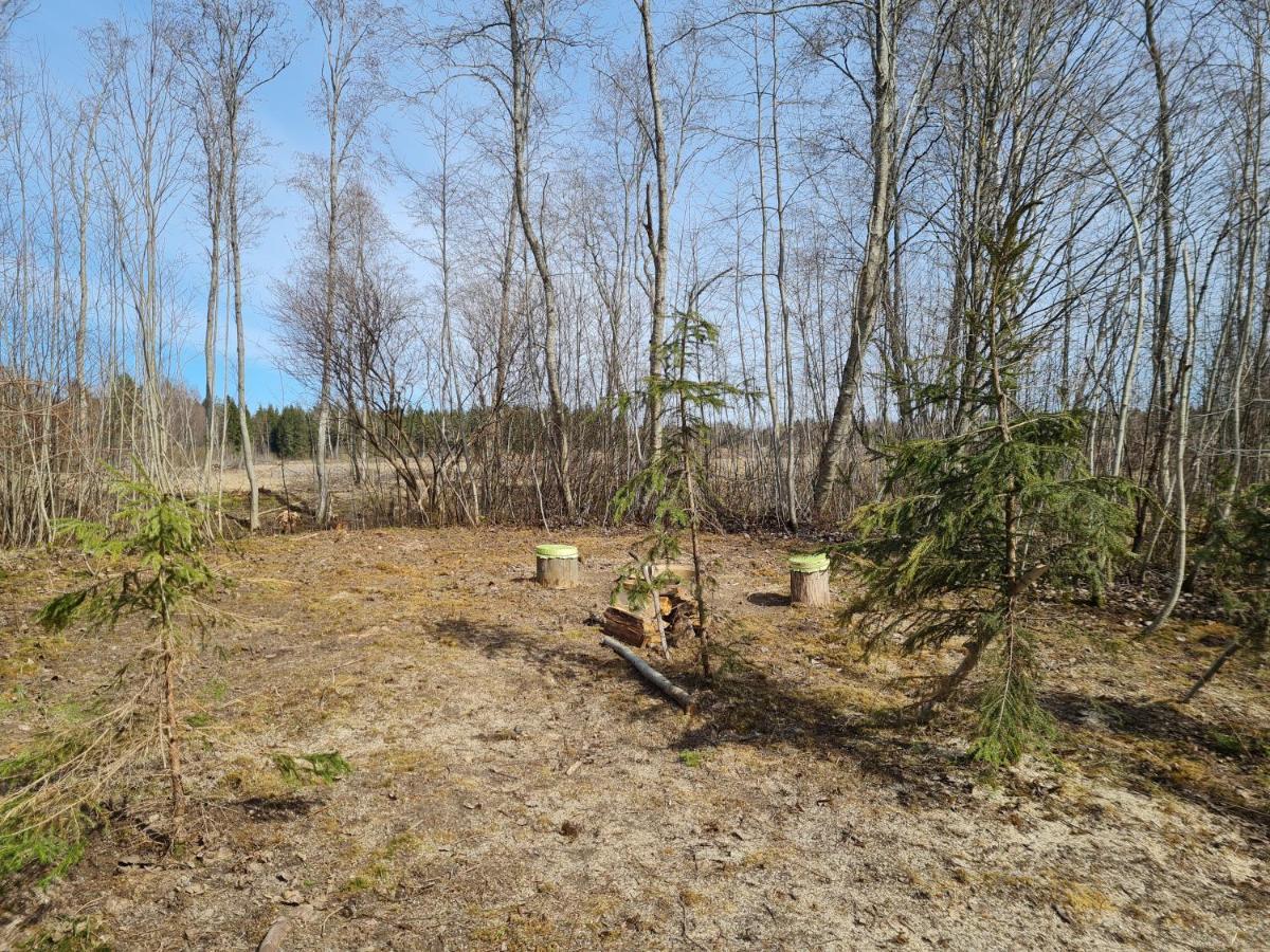 Paide Homestay Kriilevälja Kültér fotó